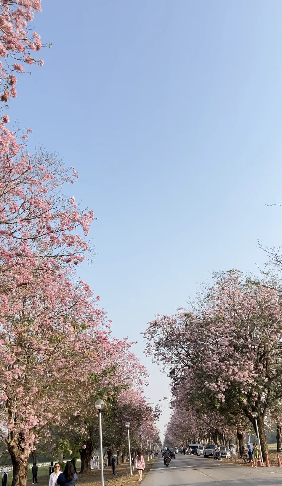 รถ EV ทดสอบ