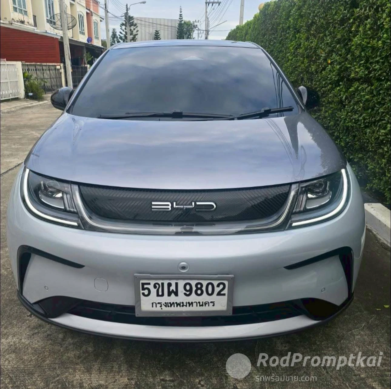 BYD Dolphin